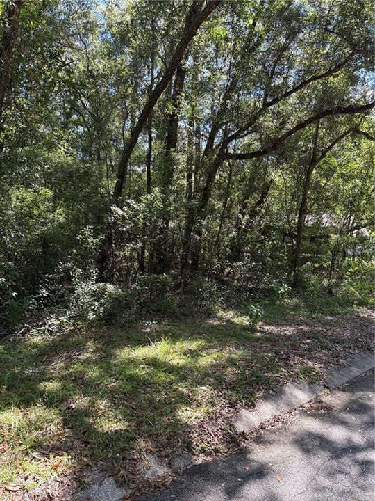 На продажу: $27,500 (0.33 acres)