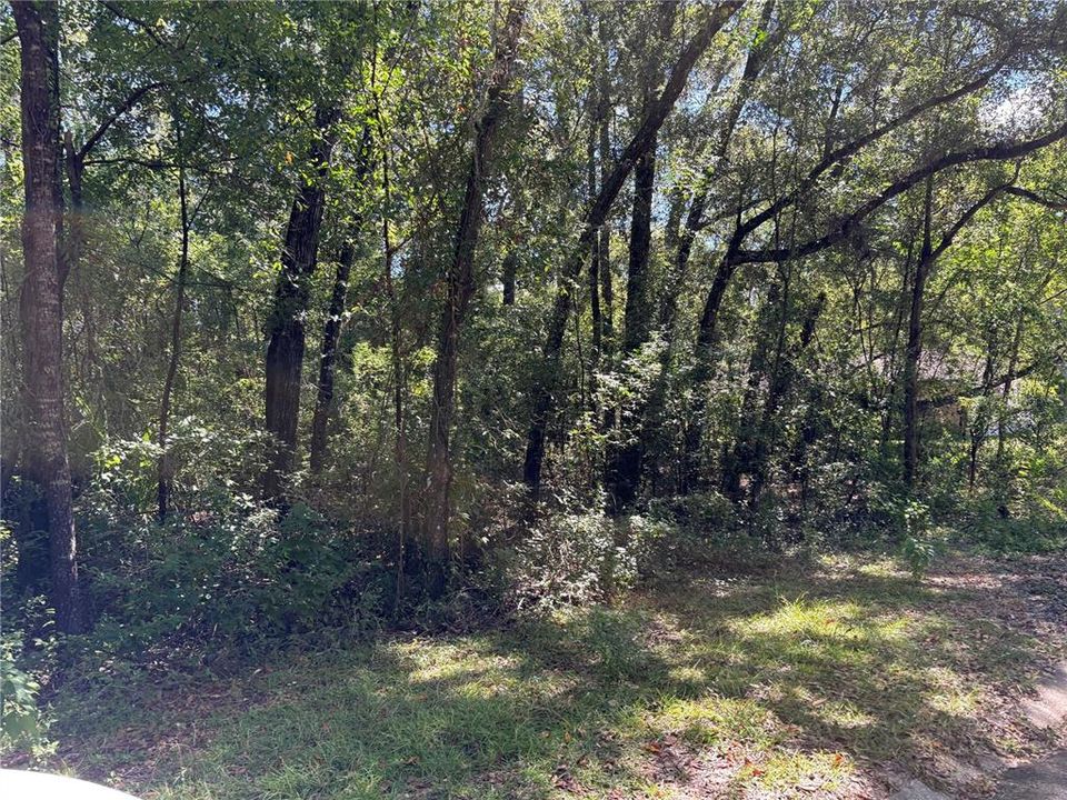 На продажу: $27,500 (0.33 acres)