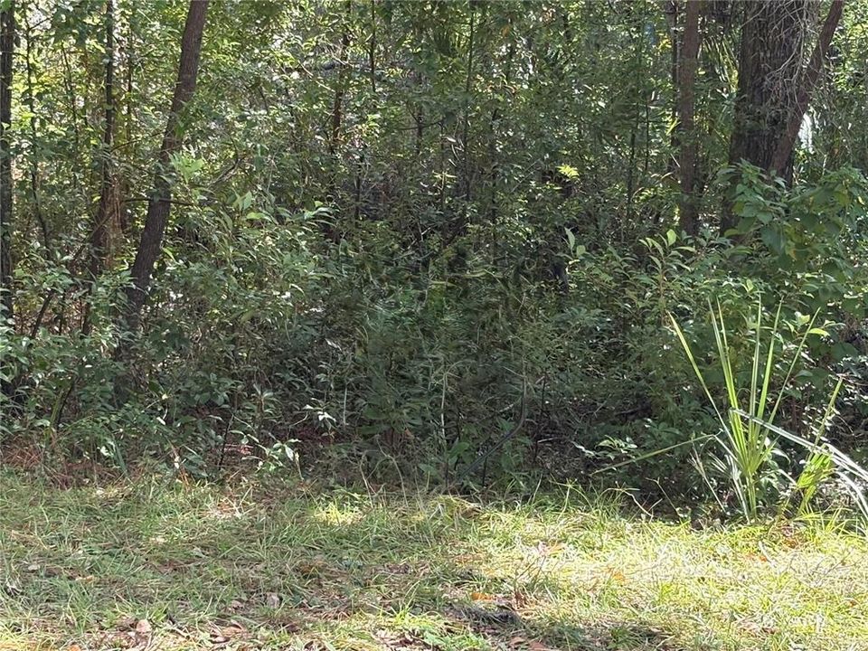 For Sale: $27,500 (0.33 acres)