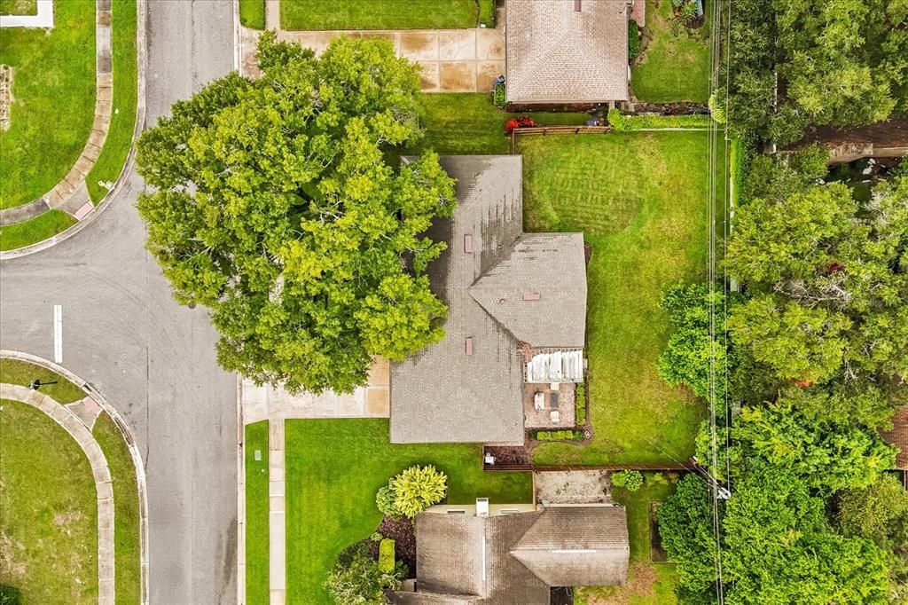 Под контрактом: $409,900 (3 спален, 2 ванн, 1642 Квадратных фут)