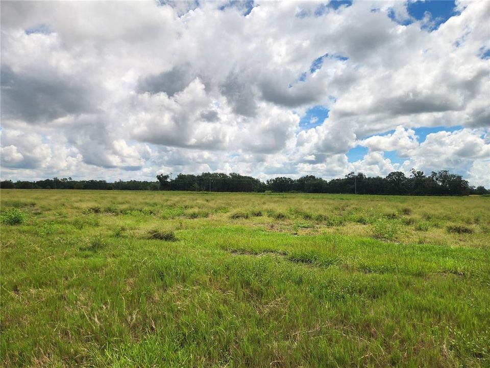 For Sale: $325,000 (10.00 acres)