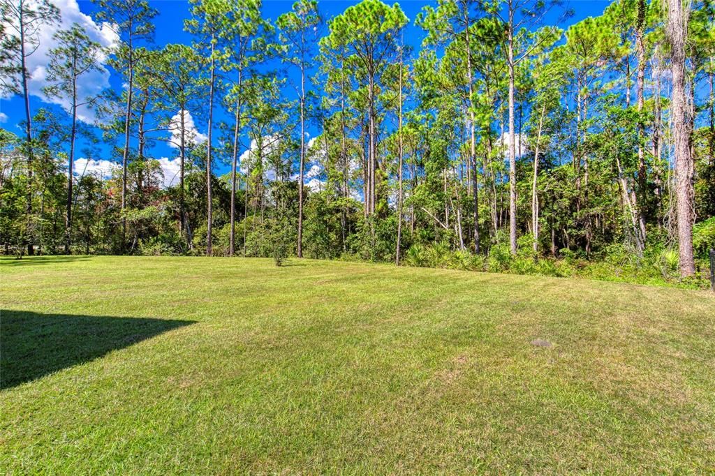 For Sale: $315,000 (4 beds, 3 baths, 1969 Square Feet)