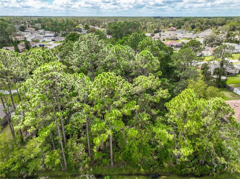 For Sale: $80,000 (0.23 acres)