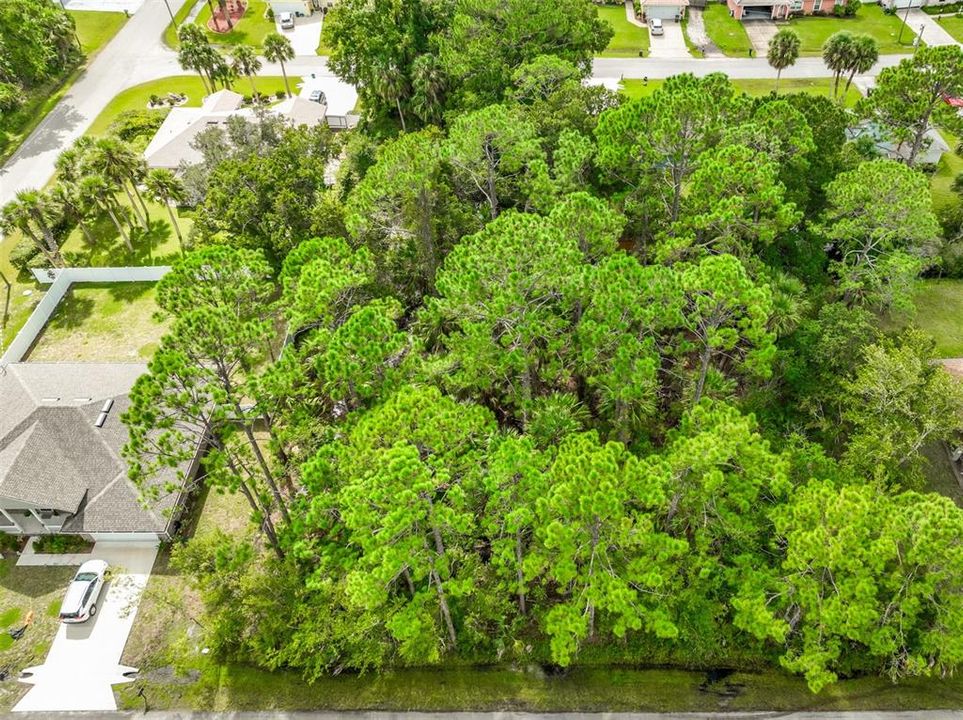 For Sale: $80,000 (0.23 acres)