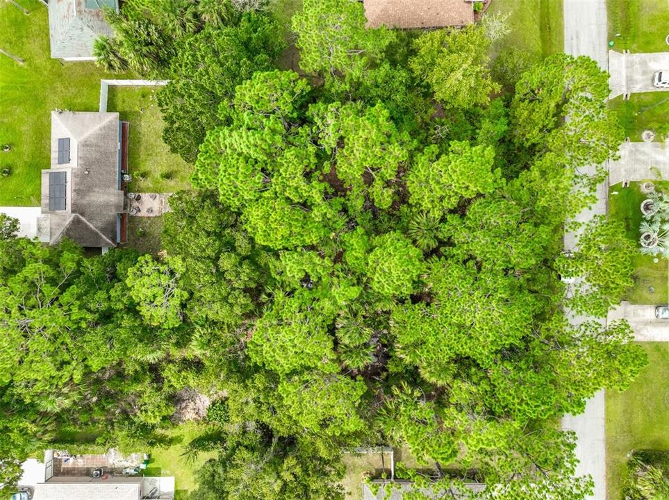 For Sale: $80,000 (0.23 acres)