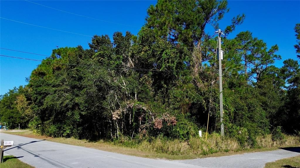 For Sale: $250,000 (1.09 acres)