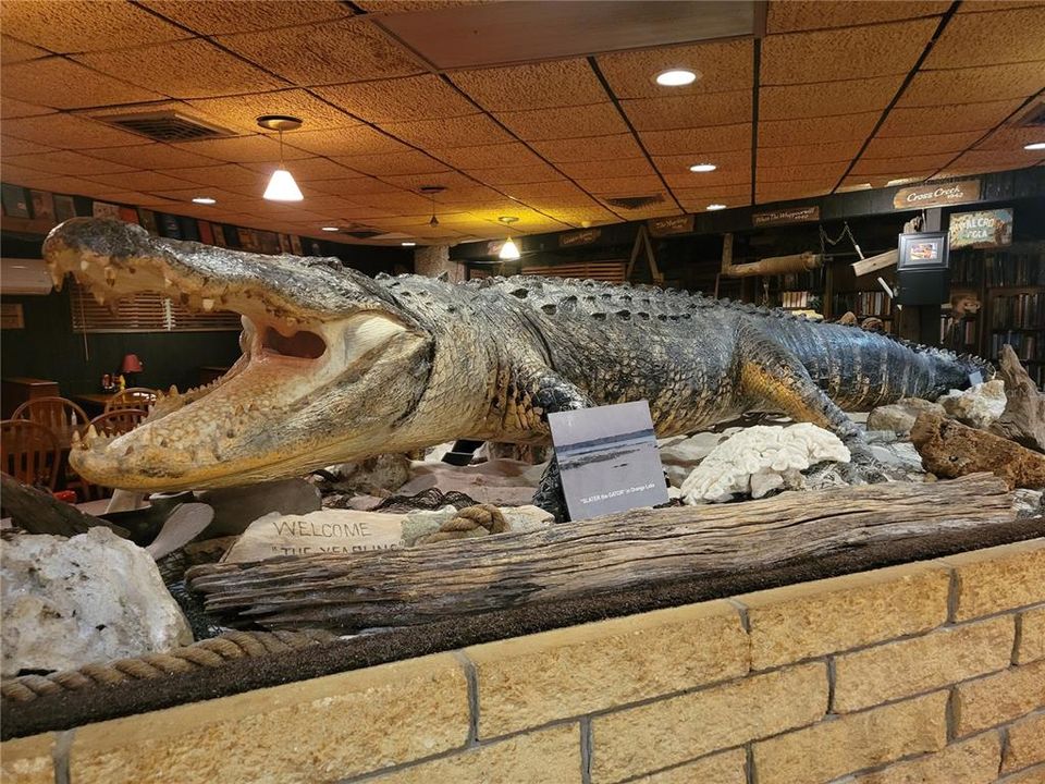 For Sale: $157,000 (3 beds, 2 baths, 1248 Square Feet)