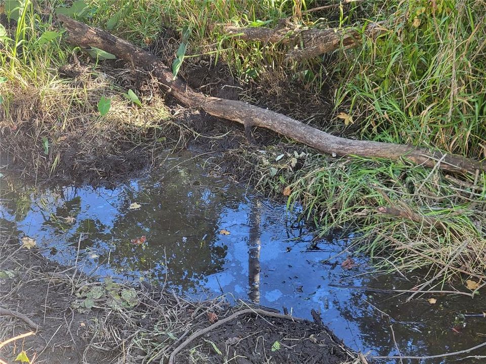 For Sale: $157,000 (3 beds, 2 baths, 1248 Square Feet)