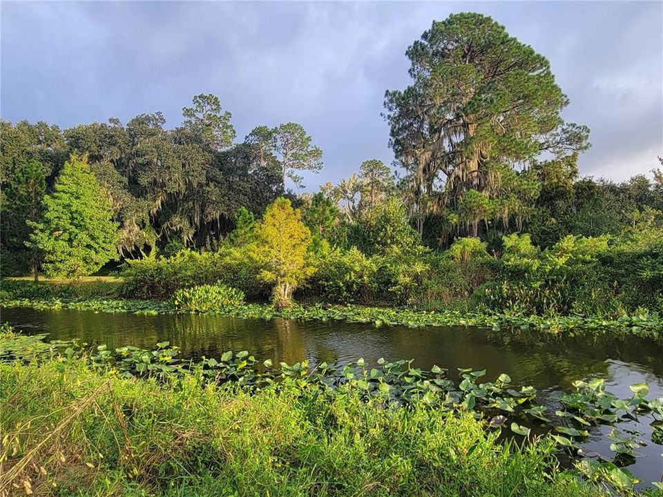 For Sale: $157,000 (3 beds, 2 baths, 1248 Square Feet)