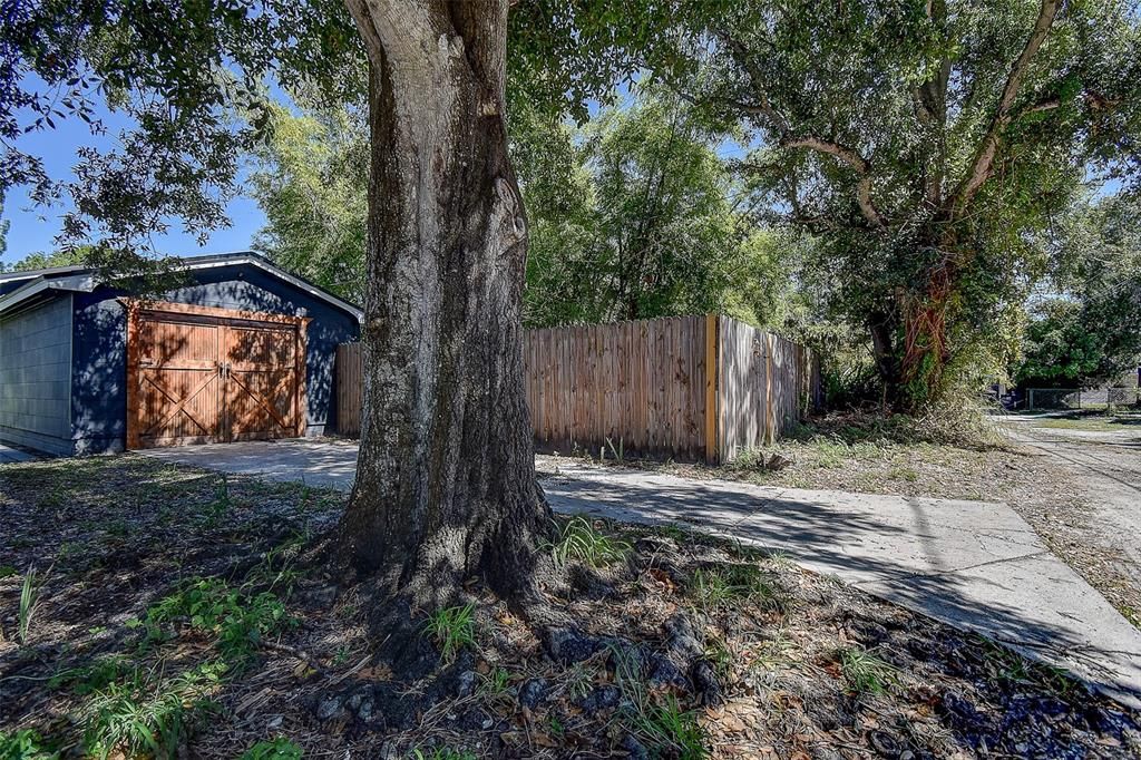 Под контрактом: $366,000 (3 спален, 2 ванн, 1054 Квадратных фут)