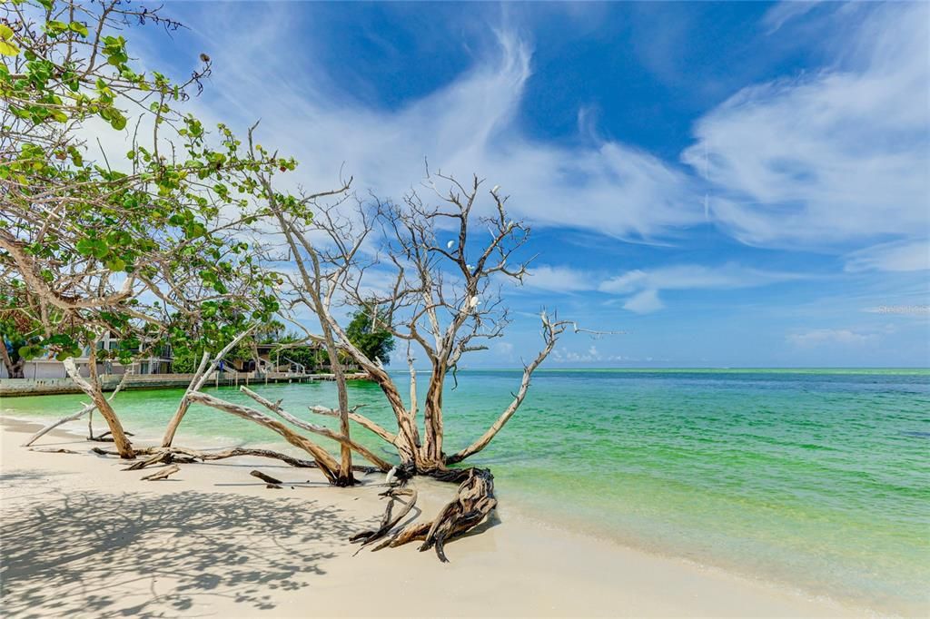 出租: $3,500 (2 贝兹, 1 浴室, 1122 平方英尺)