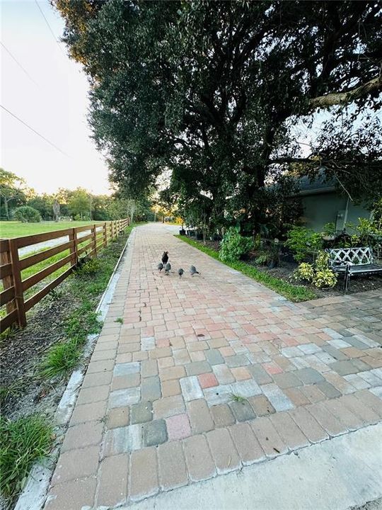 For Sale: $989,000 (4 beds, 3 baths, 2333 Square Feet)