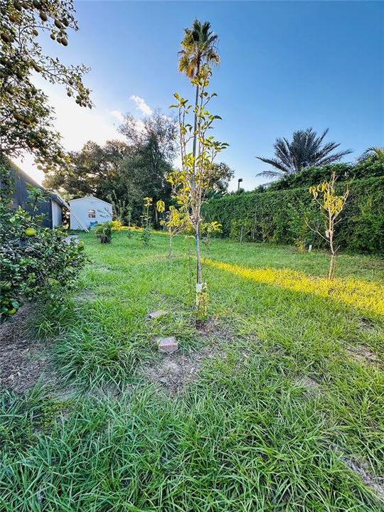 For Sale: $989,000 (4 beds, 3 baths, 2333 Square Feet)