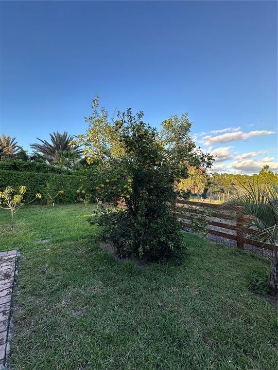 For Sale: $989,000 (4 beds, 3 baths, 2333 Square Feet)