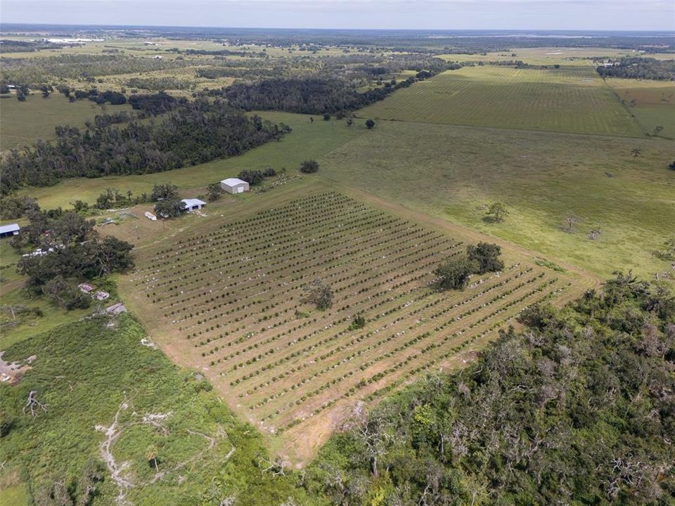 待售: $1,200,000 (15.00 acres)