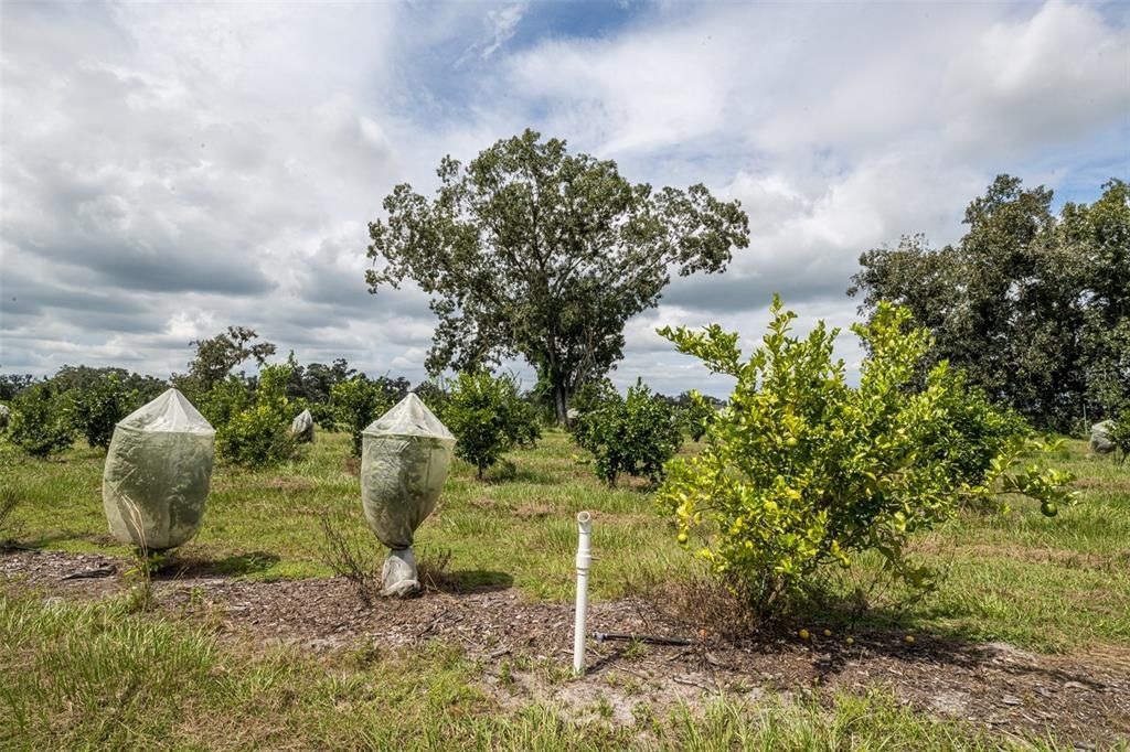 待售: $1,200,000 (15.00 acres)