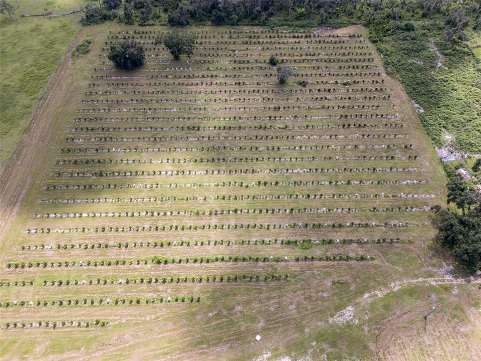 待售: $1,200,000 (15.00 acres)