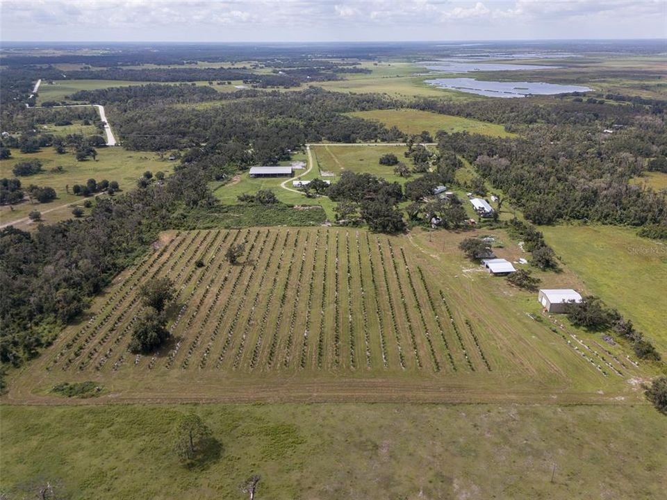 待售: $1,200,000 (15.00 acres)