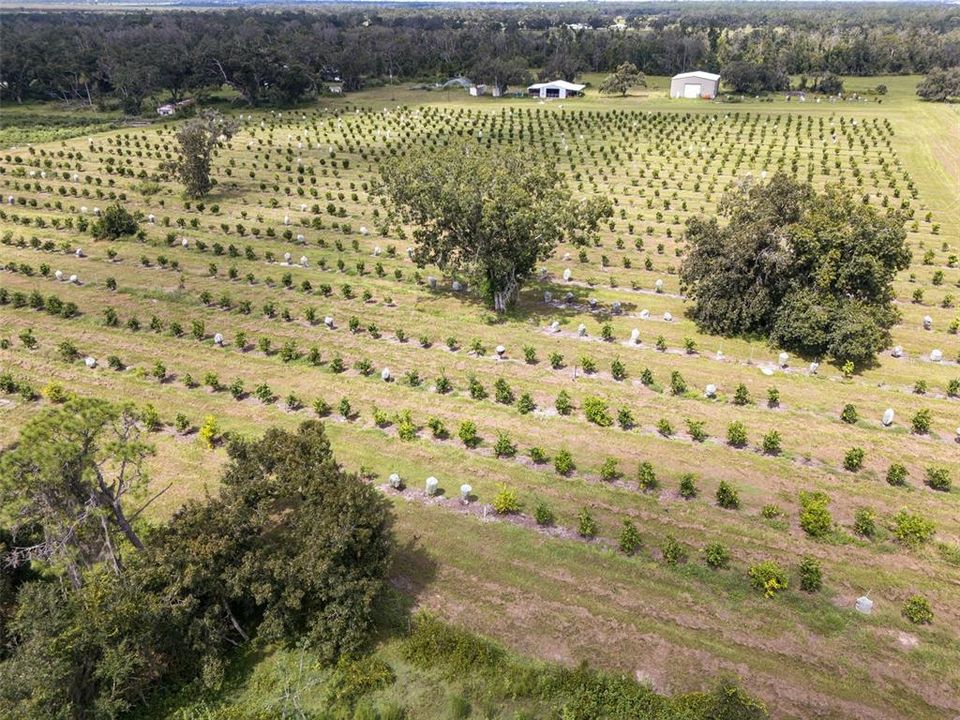 待售: $1,200,000 (15.00 acres)