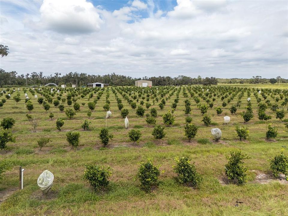 待售: $1,200,000 (15.00 acres)