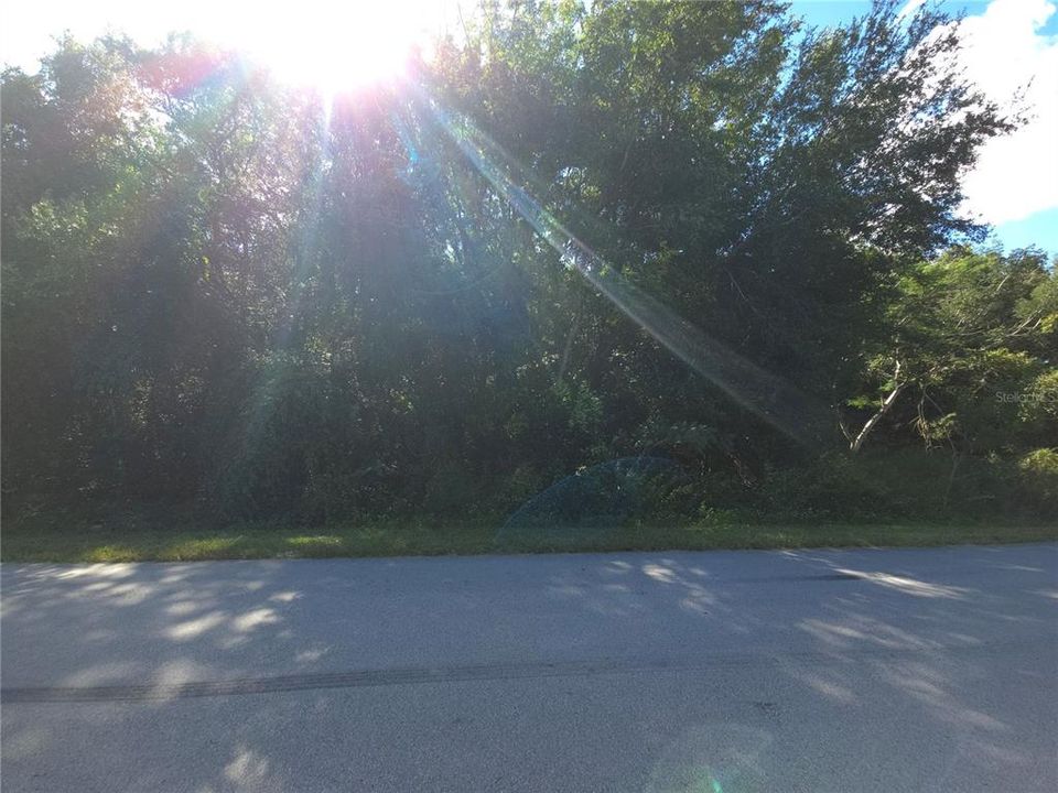 待售: $75,000 (0.46 acres)