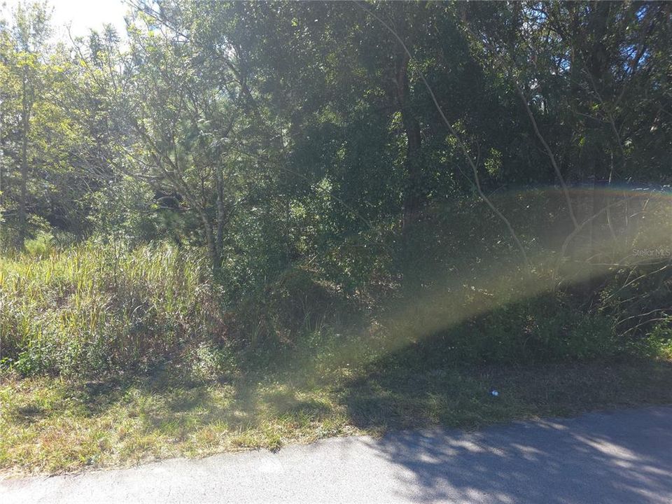 待售: $75,000 (0.48 acres)