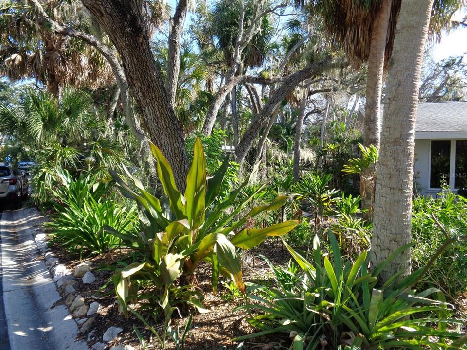 Activo con contrato: $799,000 (3 camas, 2 baños, 1831 Pies cuadrados)