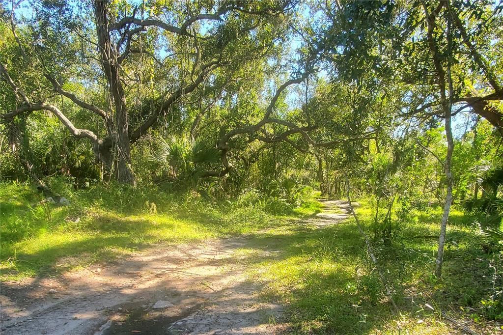 Active With Contract: $172,000 (5.06 acres)