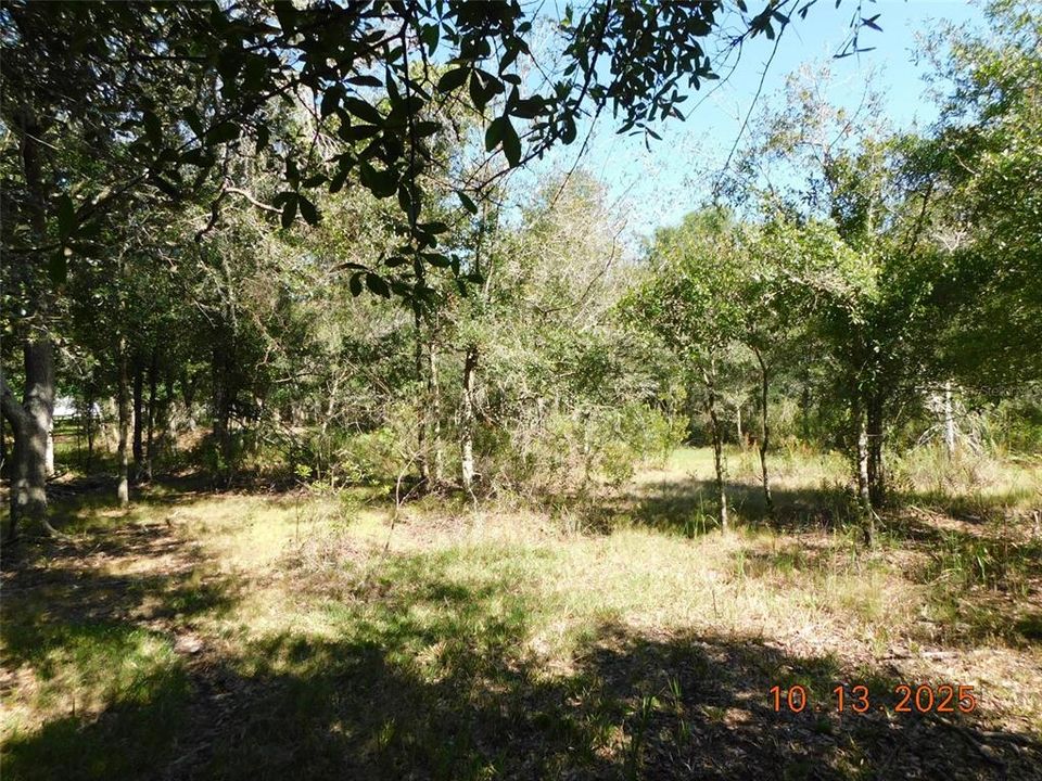 Active With Contract: $172,000 (5.06 acres)