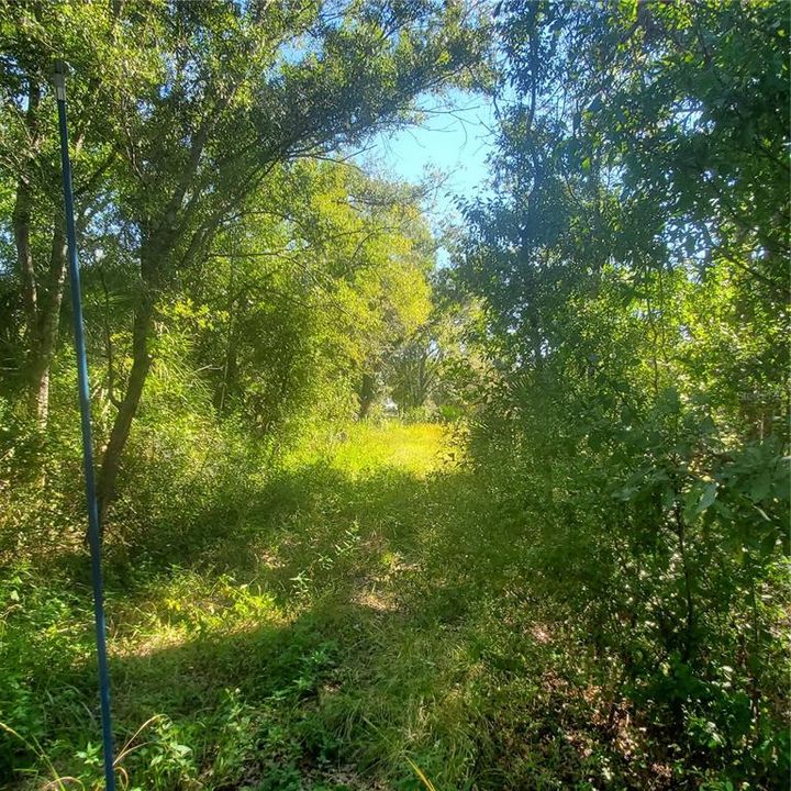 Active With Contract: $172,000 (5.06 acres)