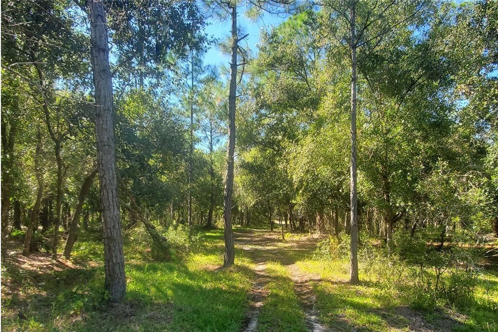 Active With Contract: $172,000 (5.06 acres)