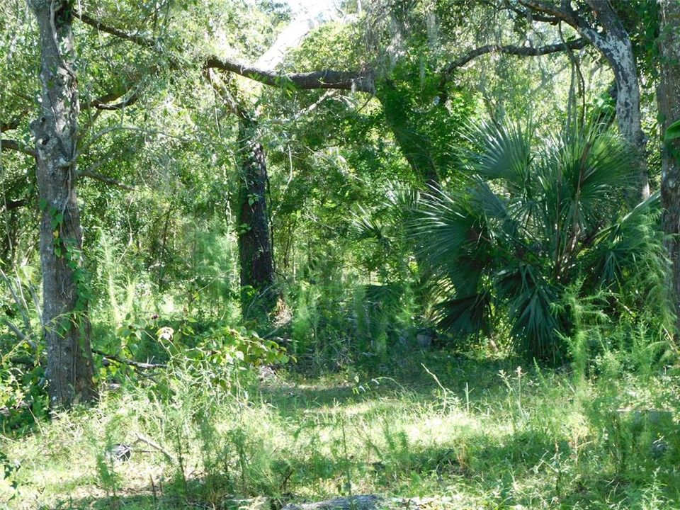 Active With Contract: $172,000 (5.06 acres)