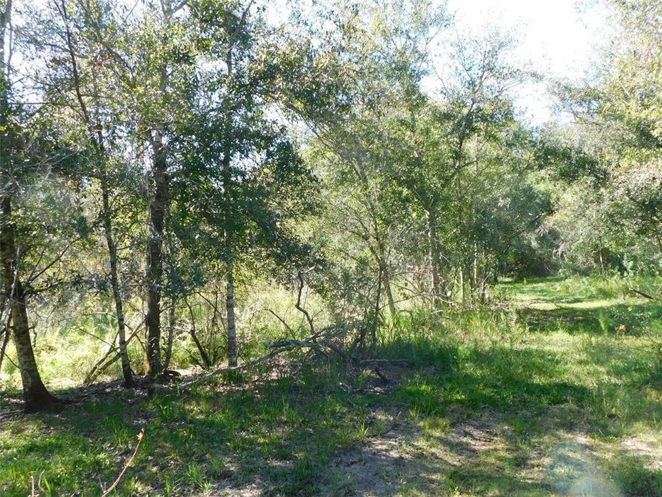 Active With Contract: $172,000 (5.06 acres)