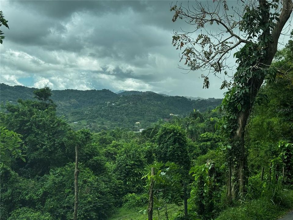 En Venta: $79,900 (3.00 acres)