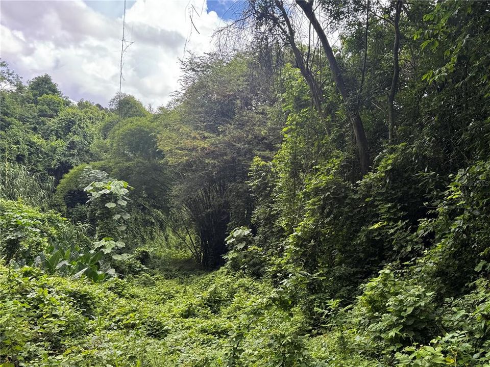 En Venta: $79,900 (3.00 acres)