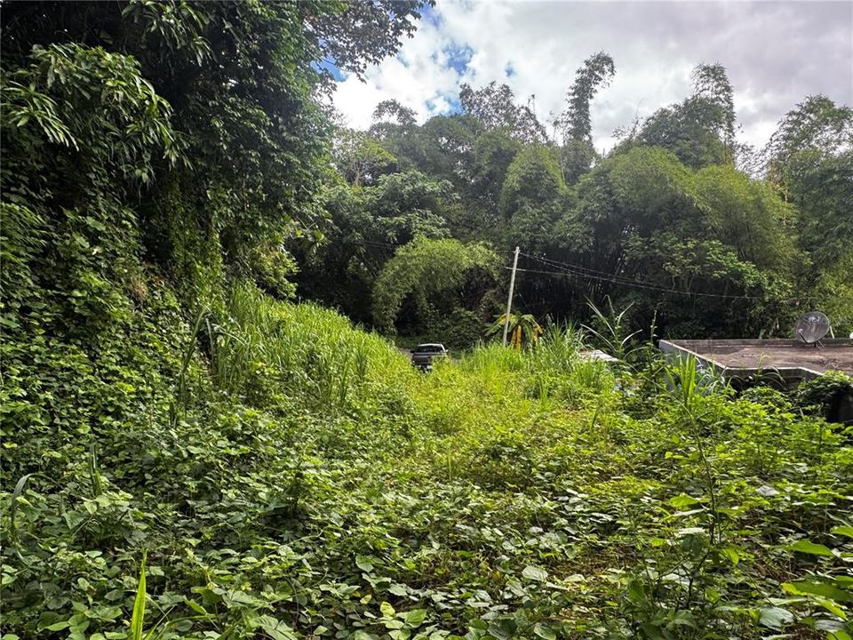 En Venta: $79,900 (3.00 acres)