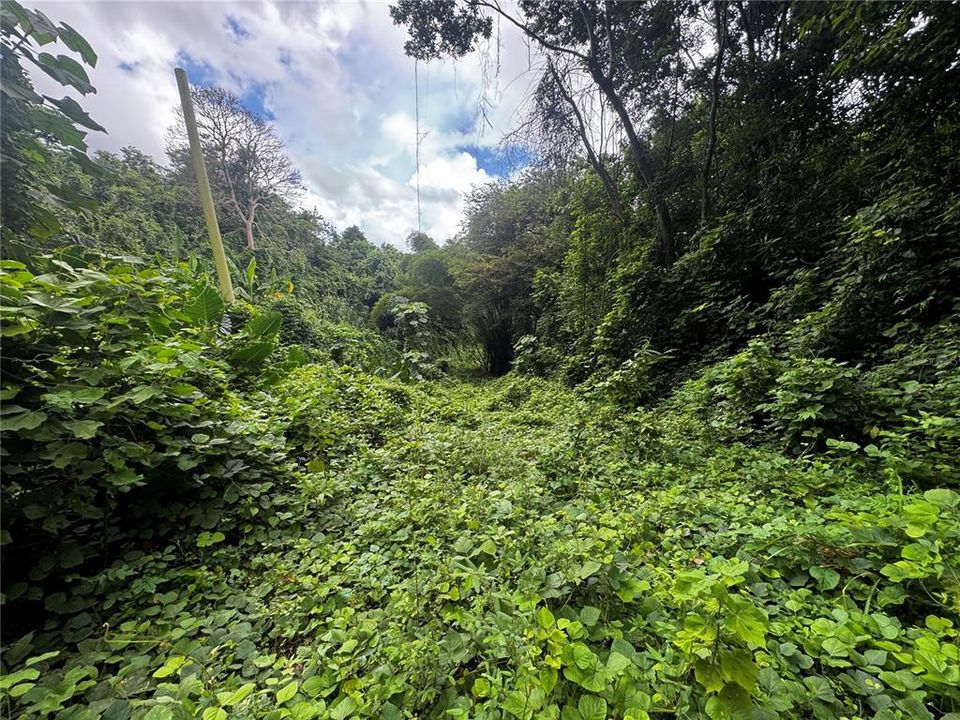 En Venta: $79,900 (3.00 acres)