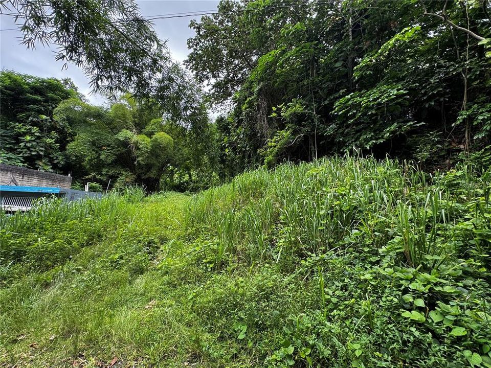 En Venta: $79,900 (3.00 acres)