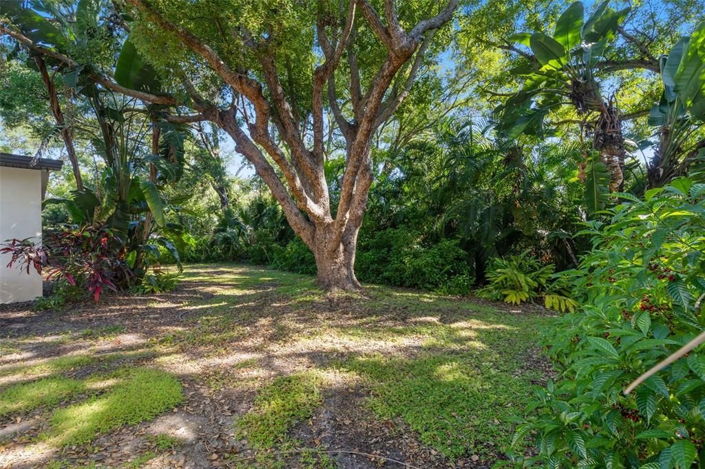 合同活跃: $359,000 (3 贝兹, 1 浴室, 1390 平方英尺)