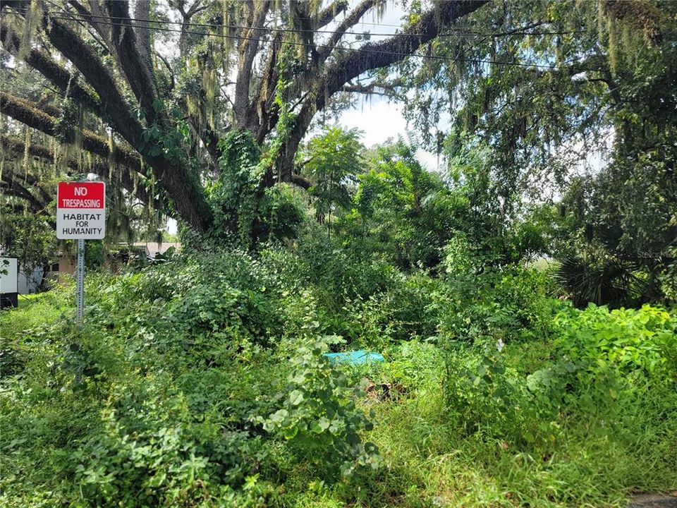 En Venta: $119,000 (0.09 acres)