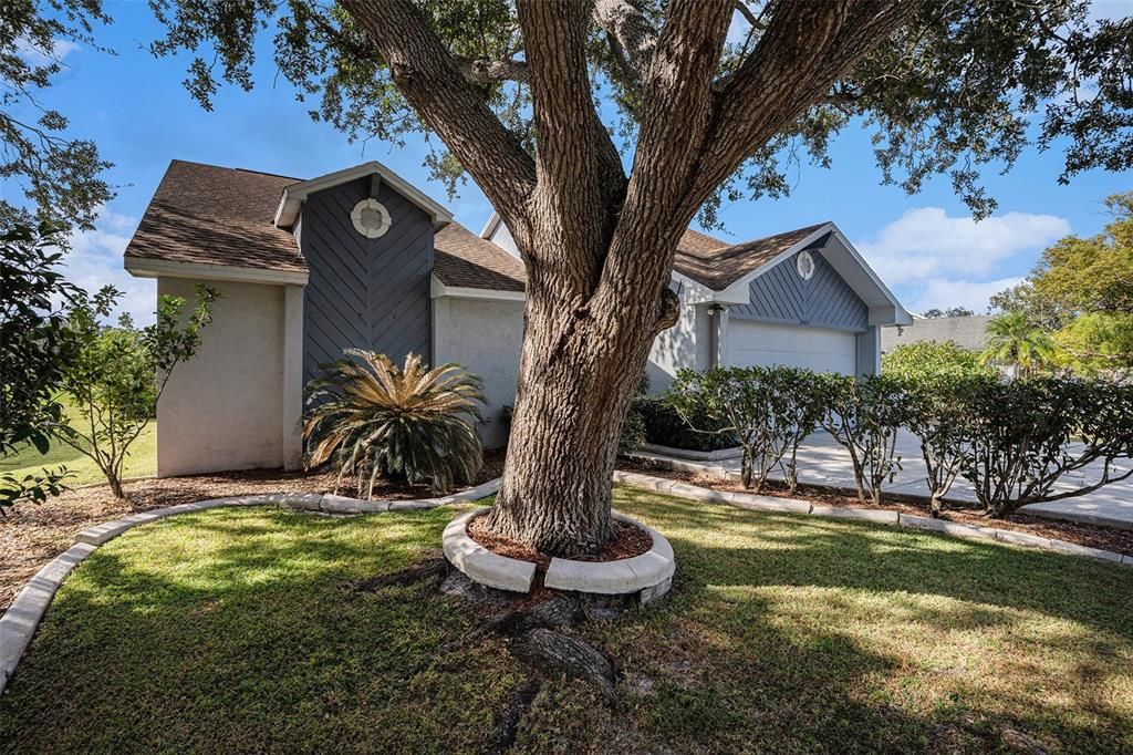 En Venta: $355,000 (3 camas, 2 baños, 1299 Pies cuadrados)