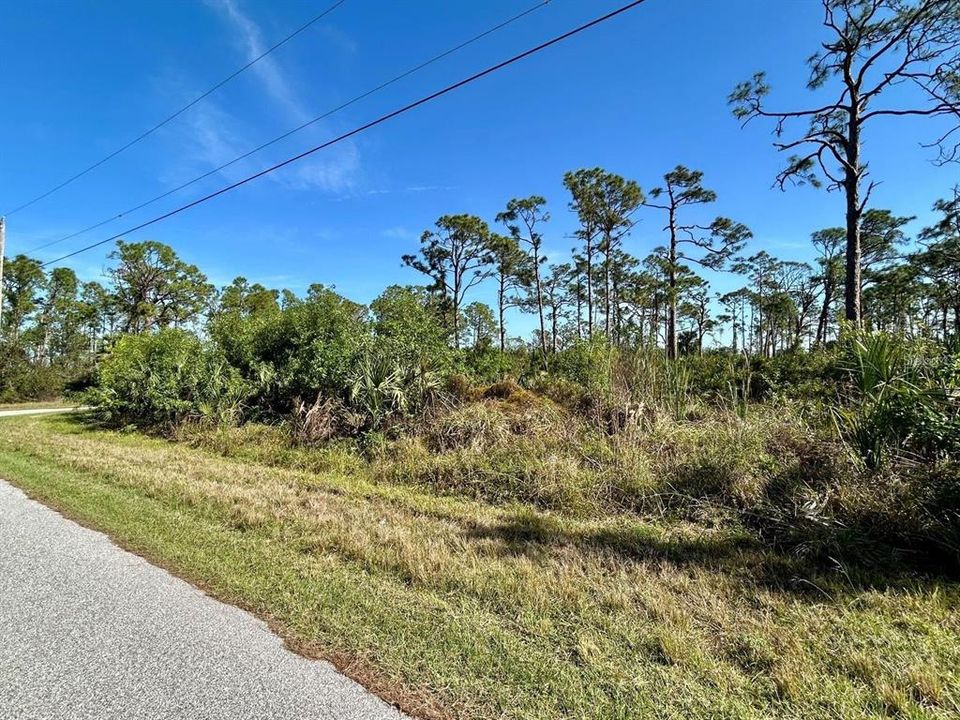 For Sale: $23,000 (0.24 acres)