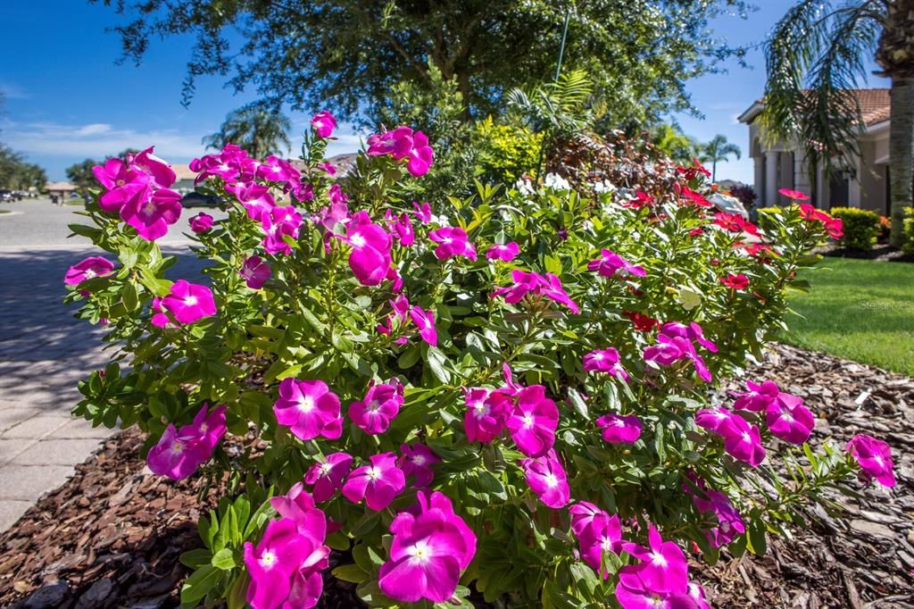 待售: $945,000 (4 贝兹, 3 浴室, 3852 平方英尺)