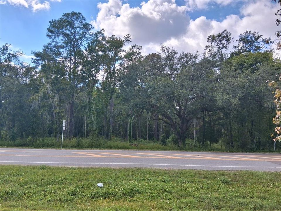 На продажу: $200,000 (1.86 acres)