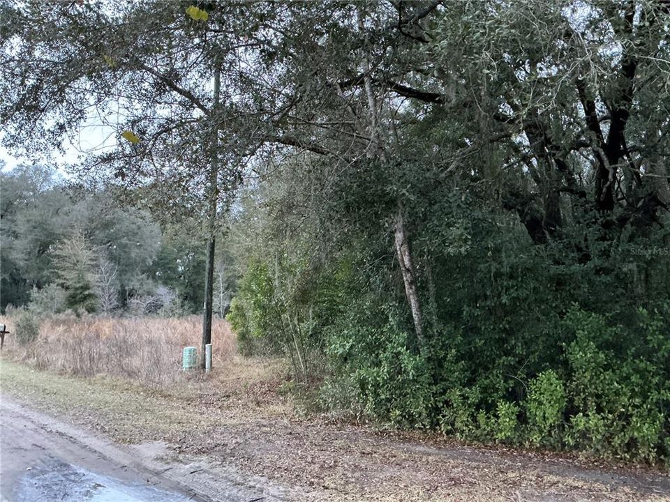 For Sale: $25,000 (0.31 acres)