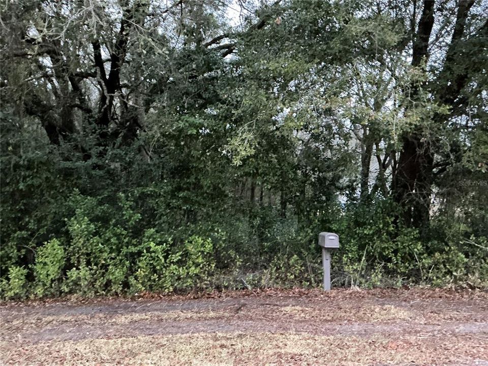 For Sale: $25,000 (0.31 acres)