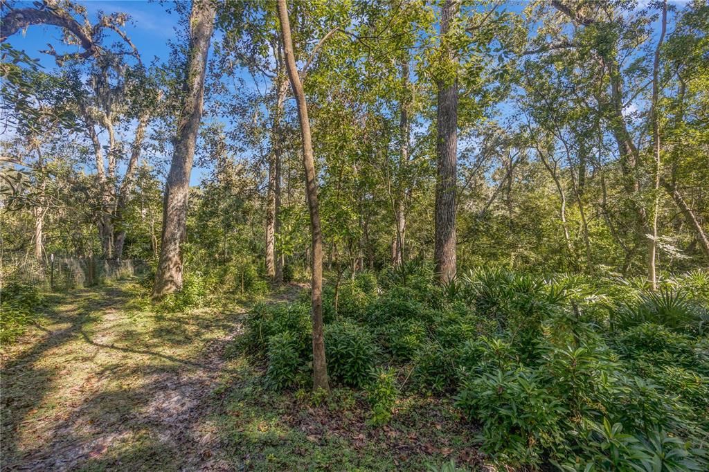 Active With Contract: $558,000 (3 beds, 2 baths, 1654 Square Feet)