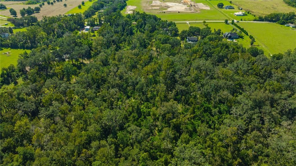 Active With Contract: $558,000 (3 beds, 2 baths, 1654 Square Feet)