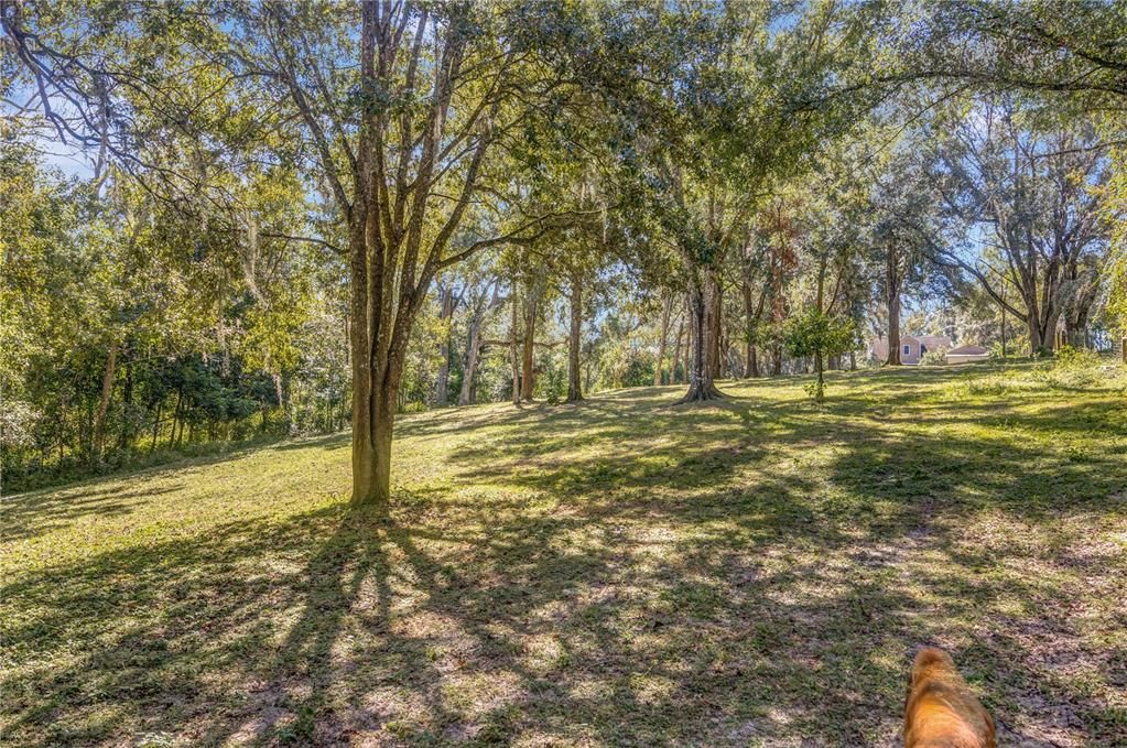 Active With Contract: $558,000 (3 beds, 2 baths, 1654 Square Feet)