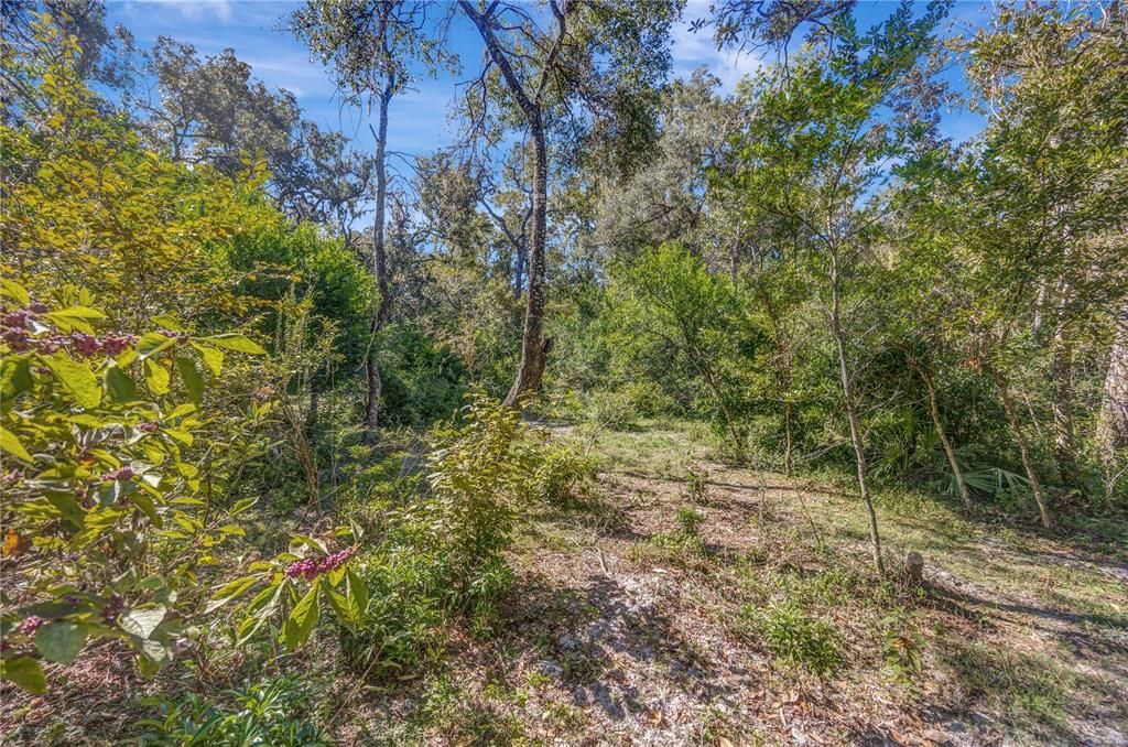 Active With Contract: $558,000 (3 beds, 2 baths, 1654 Square Feet)